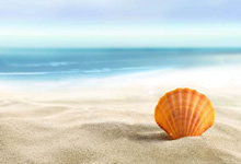 蓝鲸体育直播电脑版-罗马诺：莱昂尼完成主要部分体检，将与利物浦签约6年本周官宣，莱昂诺尔近况