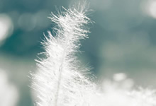 蓝鲸体育-真正狂热的体育粉丝不能错过的经典大戏