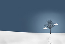 蓝鲸体育直播电脑版-罗马诺：莱昂尼完成主要部分体检，将与利物浦签约6年本周官宣，莱昂诺尔近况