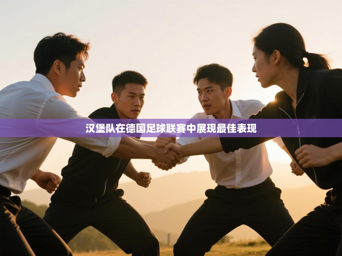 蓝鲸体育网页版-汉堡队在德国足球联赛中展现最佳表现 第4张