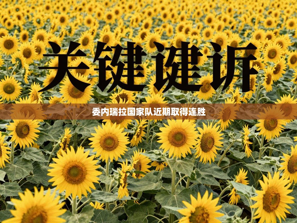 蓝鲸体育在线-委内瑞拉国家队近期取得连胜  第2张