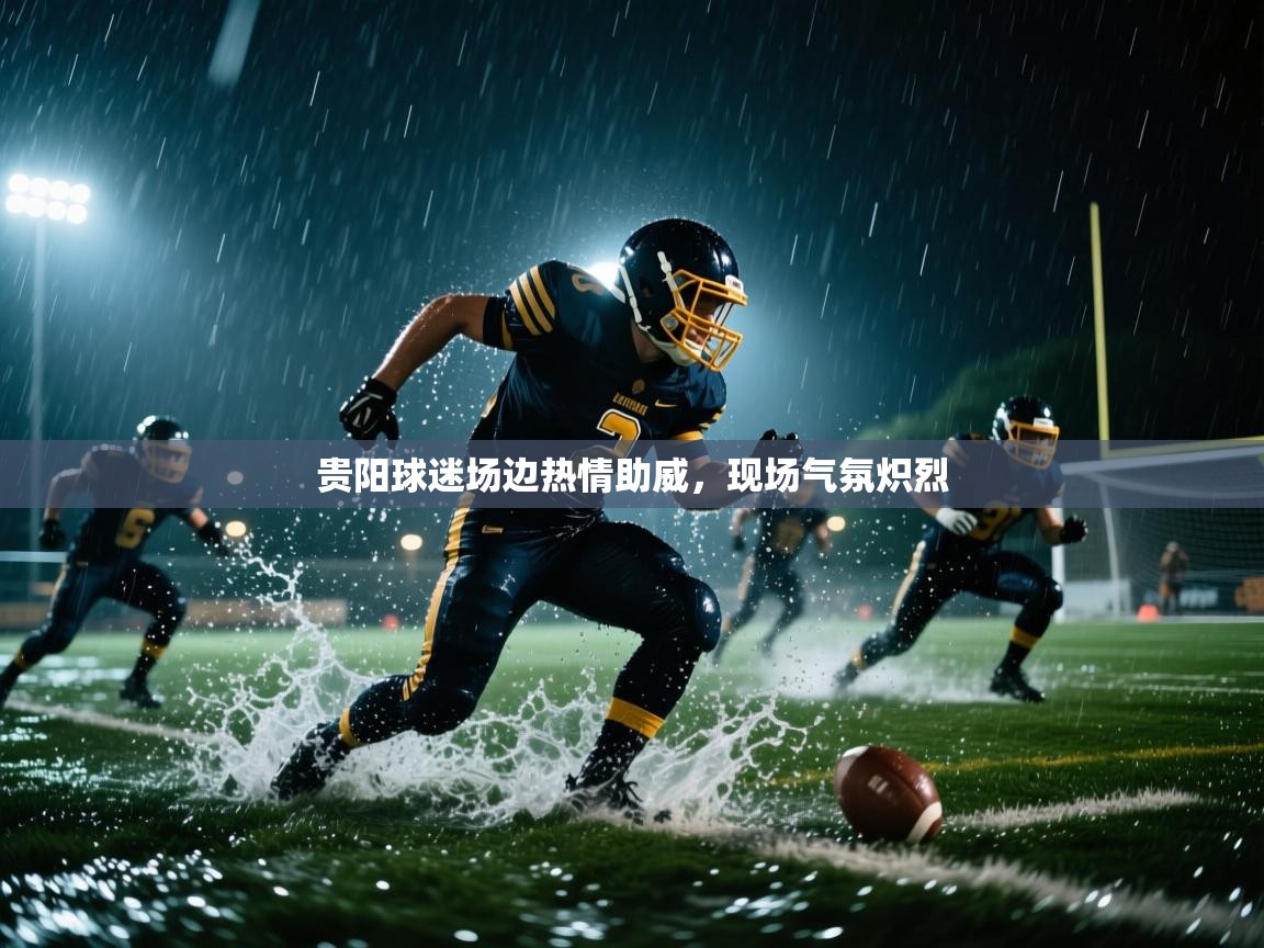 蓝鲸体育app官方入口-贵阳球迷场边热情助威，现场气氛炽烈  第2张