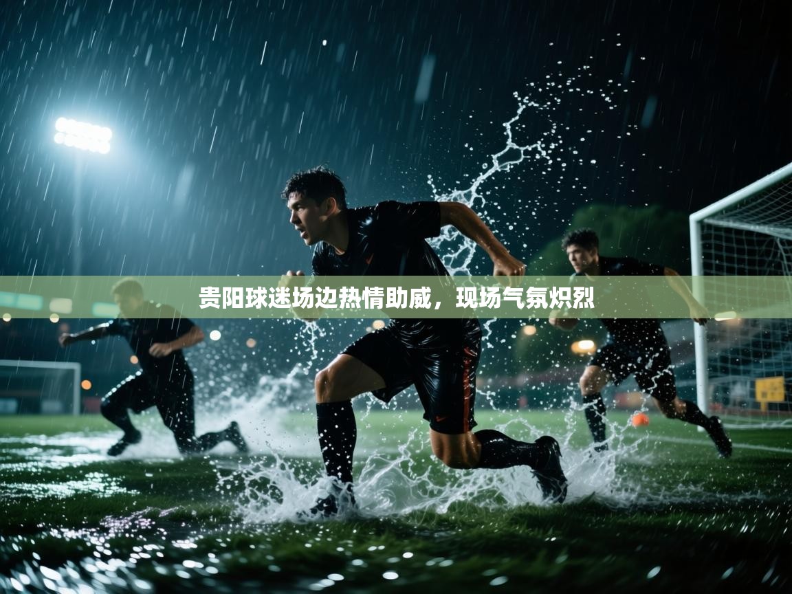 蓝鲸体育app官方入口-贵阳球迷场边热情助威，现场气氛炽烈  第3张