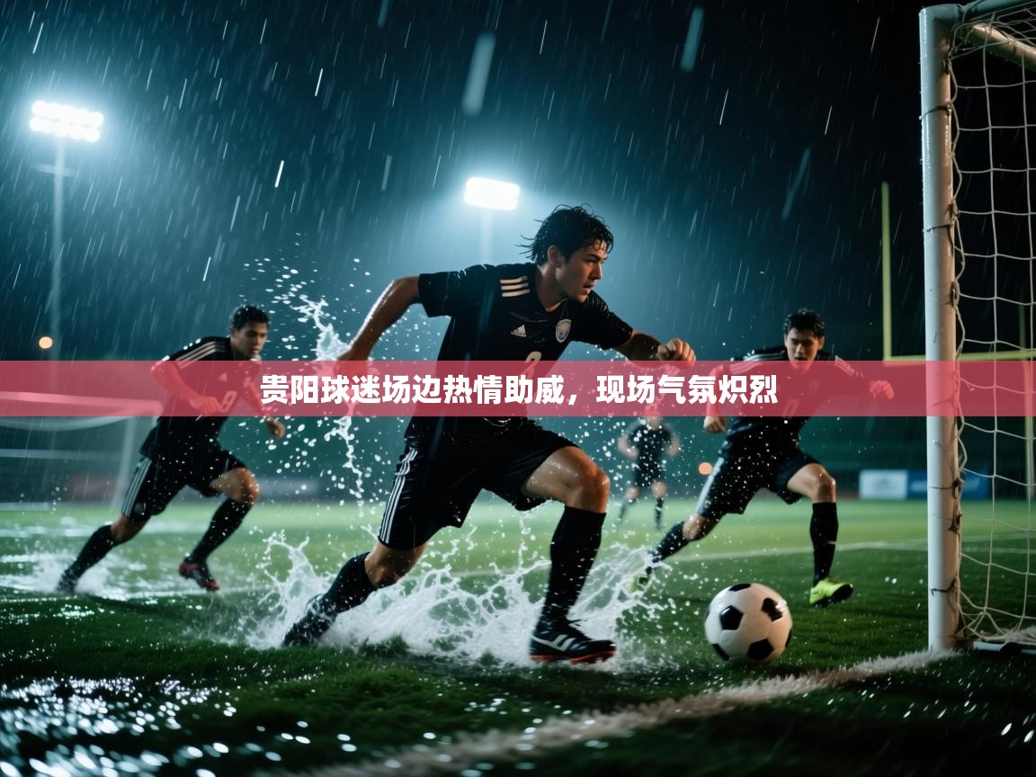 蓝鲸体育app官方入口-贵阳球迷场边热情助威，现场气氛炽烈  第4张